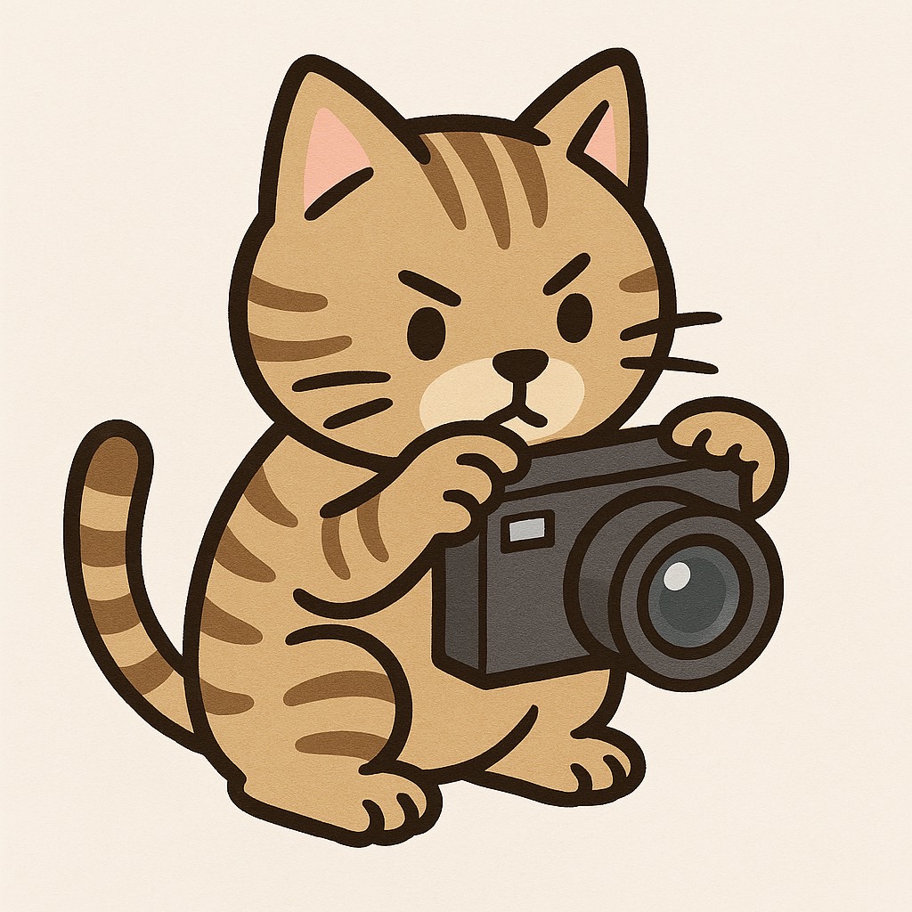 盗撮する猫